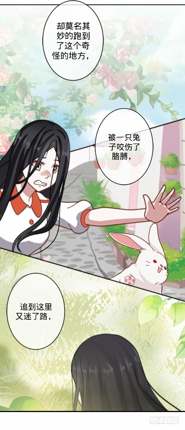 《仙境没有爱丽丝》毛虫不睬猫施援 第7页