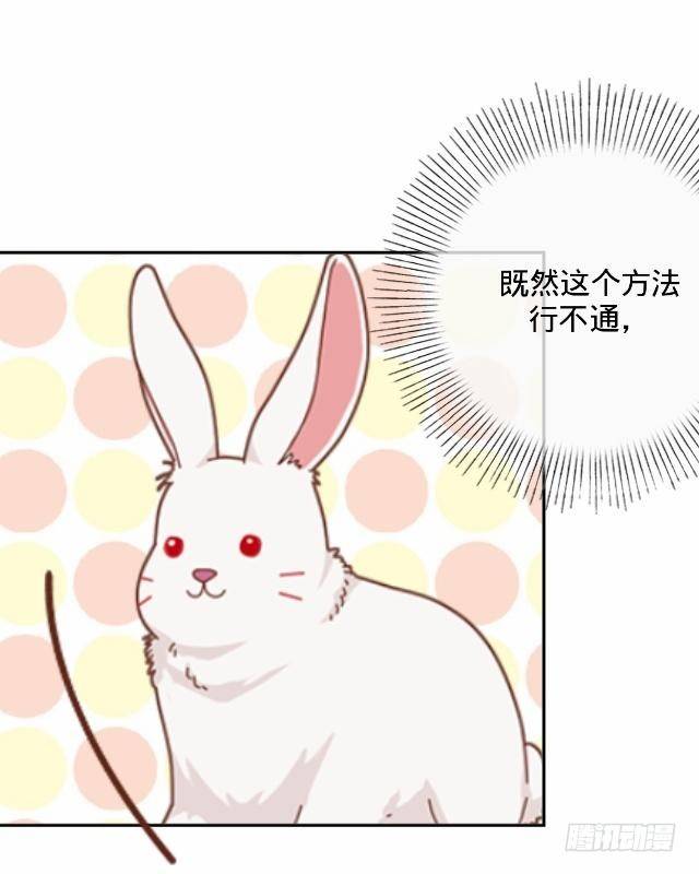 《仙境没有爱丽丝》白兔欺我人迷途 第11页