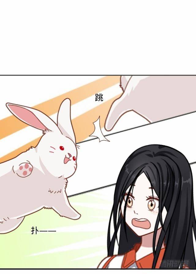 《仙境没有爱丽丝》白兔欺我人迷途 第13页