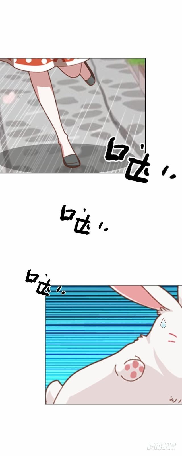 《仙境没有爱丽丝》白兔欺我人迷途 第17页