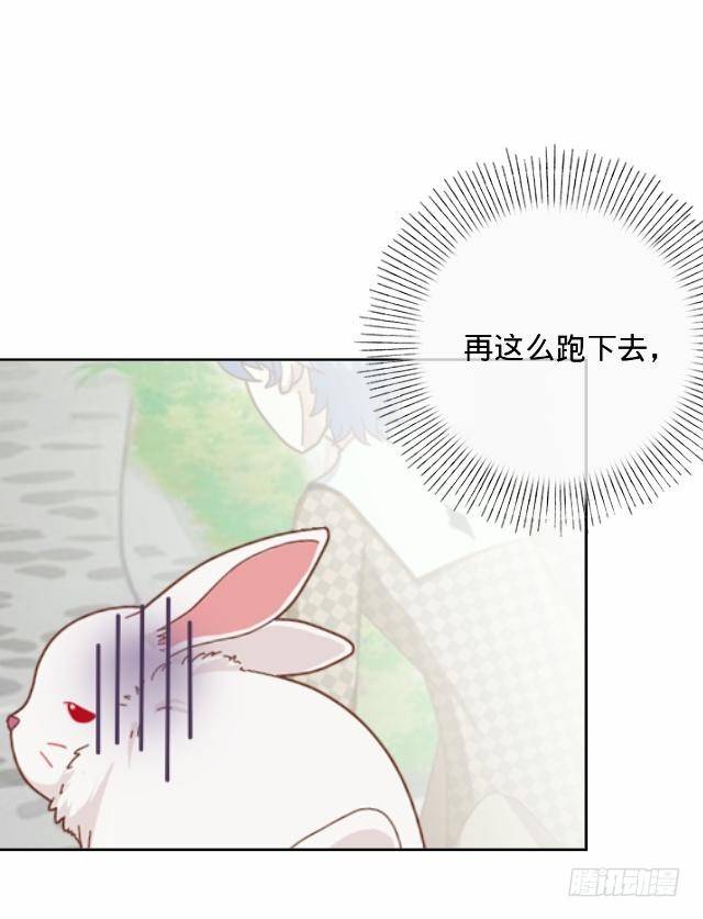 《仙境没有爱丽丝》白兔欺我人迷途 第19页
