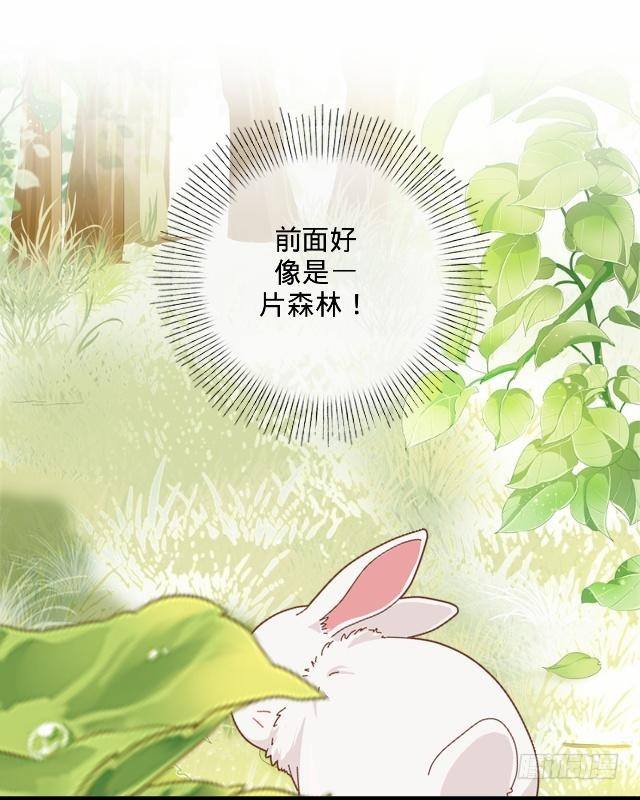 《仙境没有爱丽丝》白兔欺我人迷途 第22页