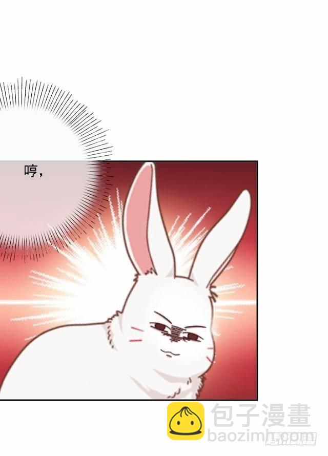 《仙境没有爱丽丝》白兔欺我人迷途 第23页