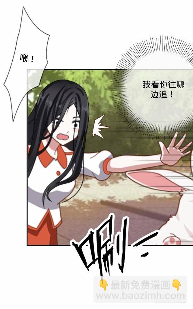 《仙境没有爱丽丝》白兔欺我人迷途 第24页