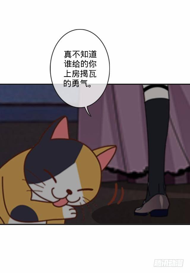 《仙境没有爱丽丝》怕猫篇（中） 第10页
