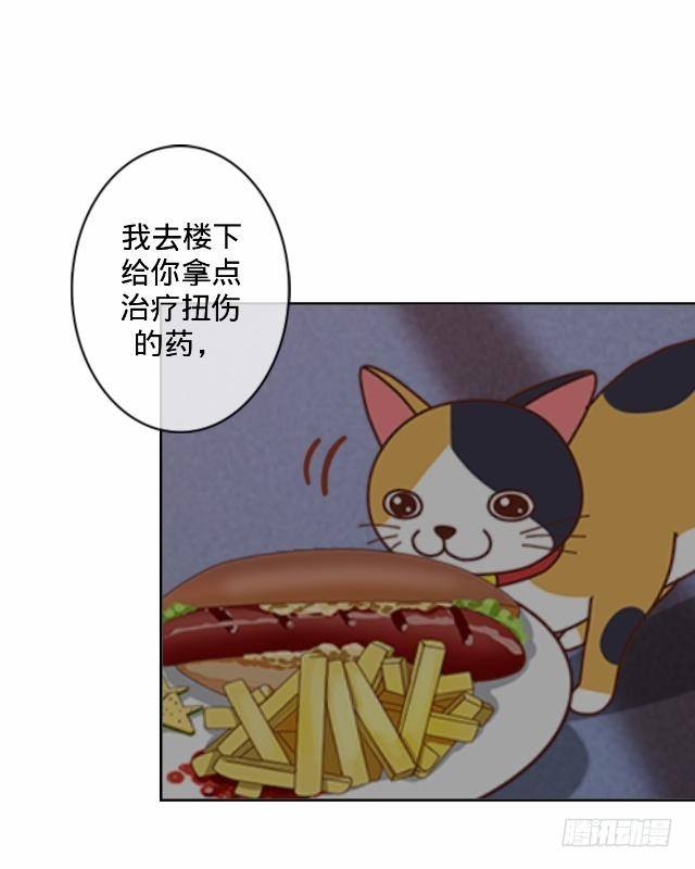 《仙境没有爱丽丝》怕猫篇（中） 第16页