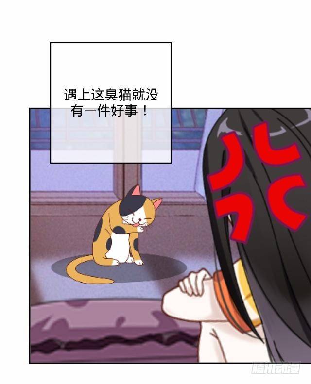 《仙境没有爱丽丝》怕猫篇（中） 第27页