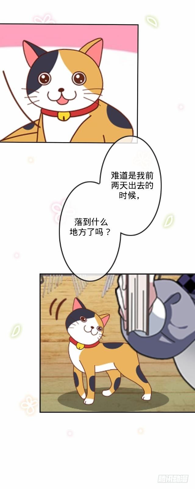 《仙境没有爱丽丝》怕猫篇（上） 第13页