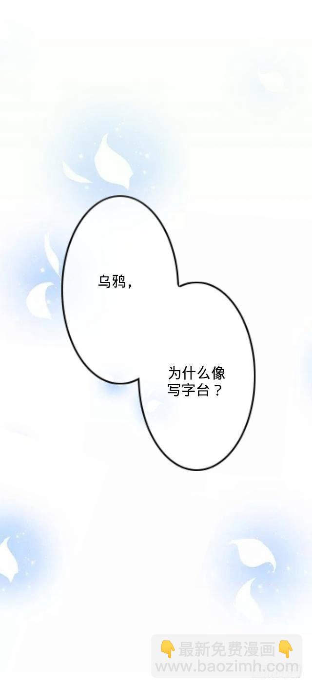 《仙境没有爱丽丝》为何乌鸦像书台 第25页