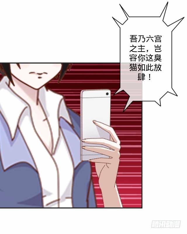 《仙境没有爱丽丝》交易达成猫指路 第14页