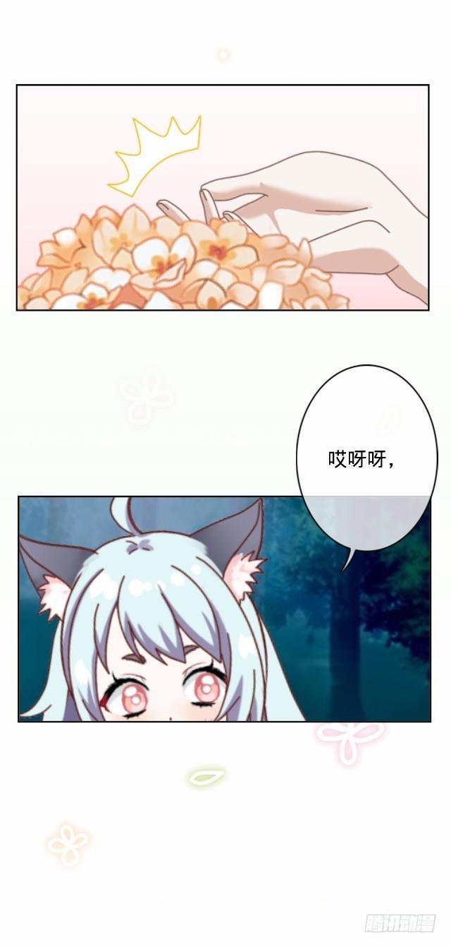 《仙境没有爱丽丝》交易达成猫指路 第24页