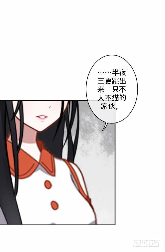 《仙境没有爱丽丝》交易达成猫指路 第26页