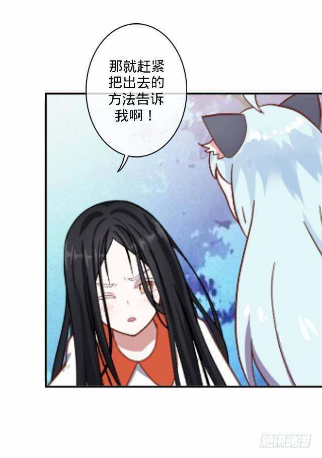 《仙境没有爱丽丝》交易达成猫指路 第36页