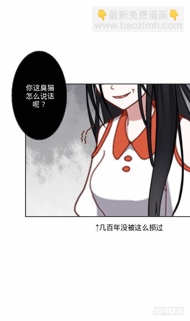 《仙境没有爱丽丝》伪装卸下往从前 第8页