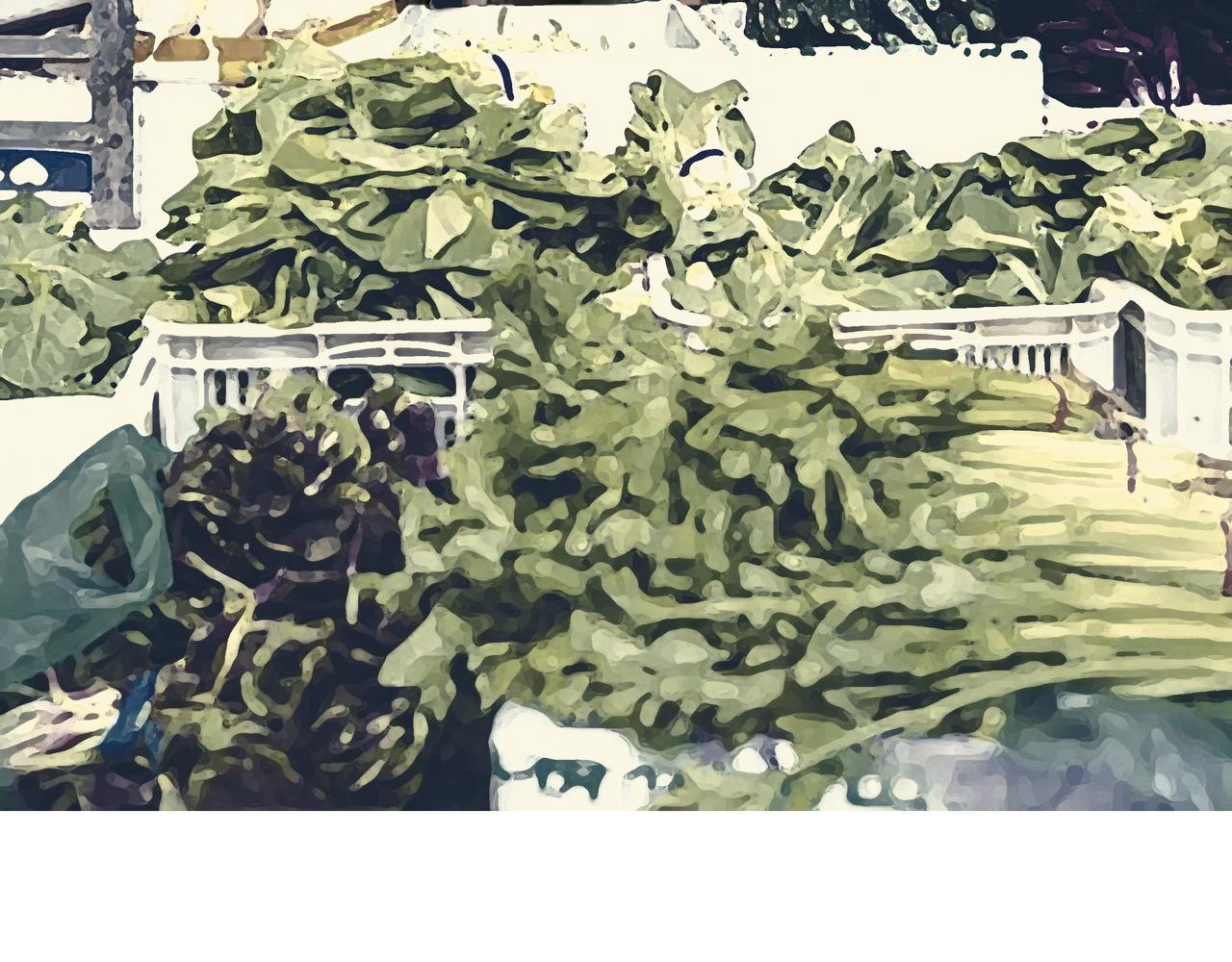 《爱上不正常的女孩》023 第38页
