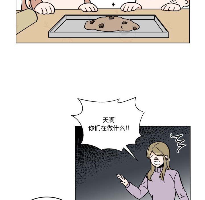 《甜心烘焙坊》62 第6页