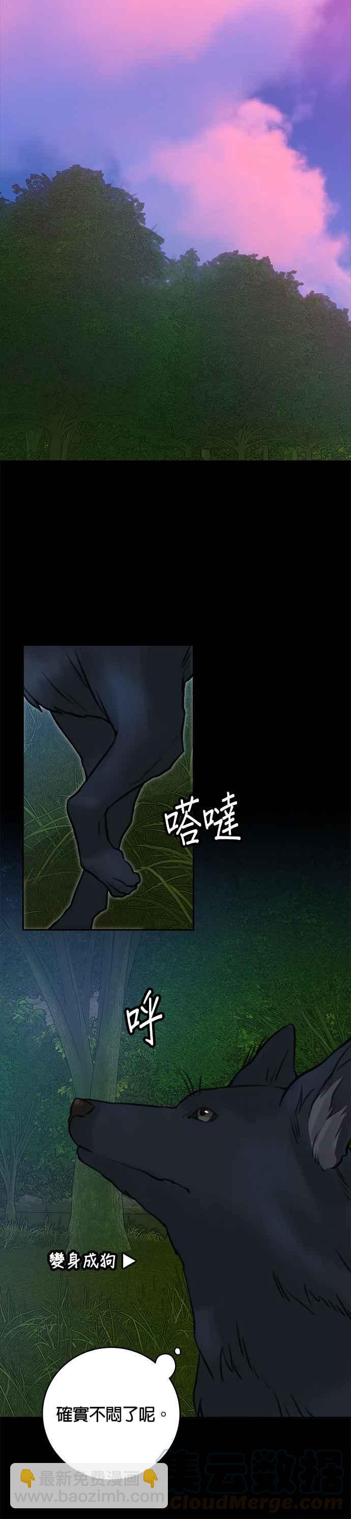 《魔女新婚日记》第12话 第27页