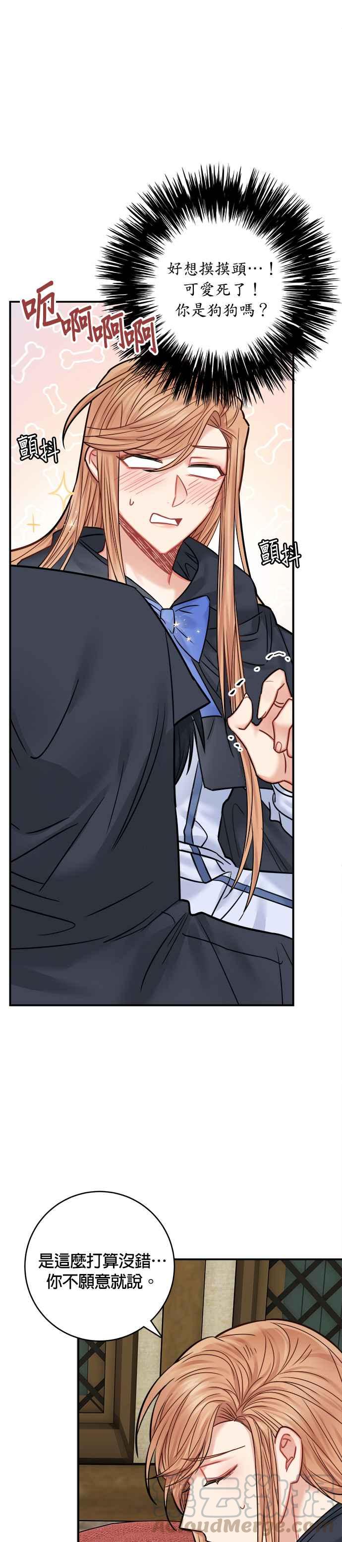 《魔女新婚日记》第43话 第5页