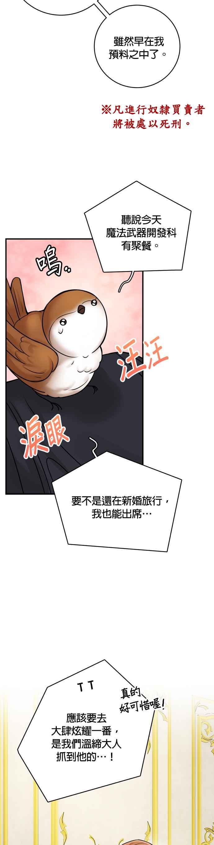 《魔女新婚日记》第48话 第12页
