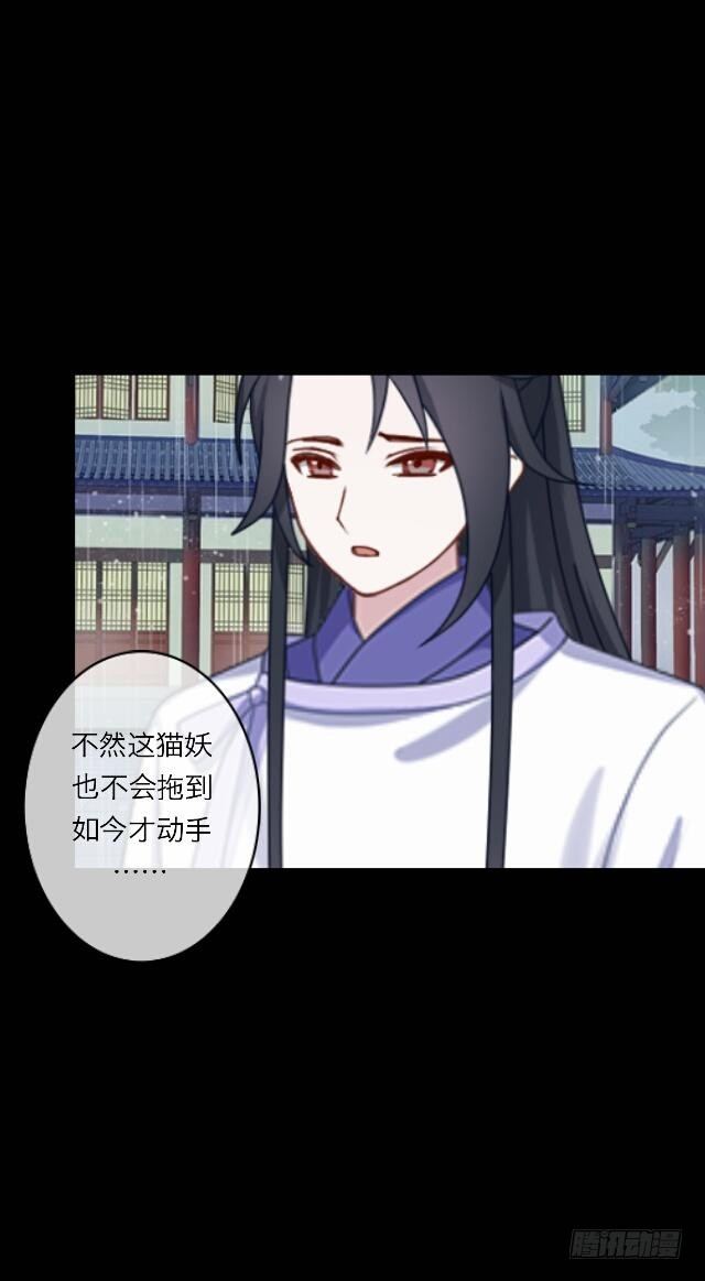 《逢时茶花落》第二十五话 报仇 第12页