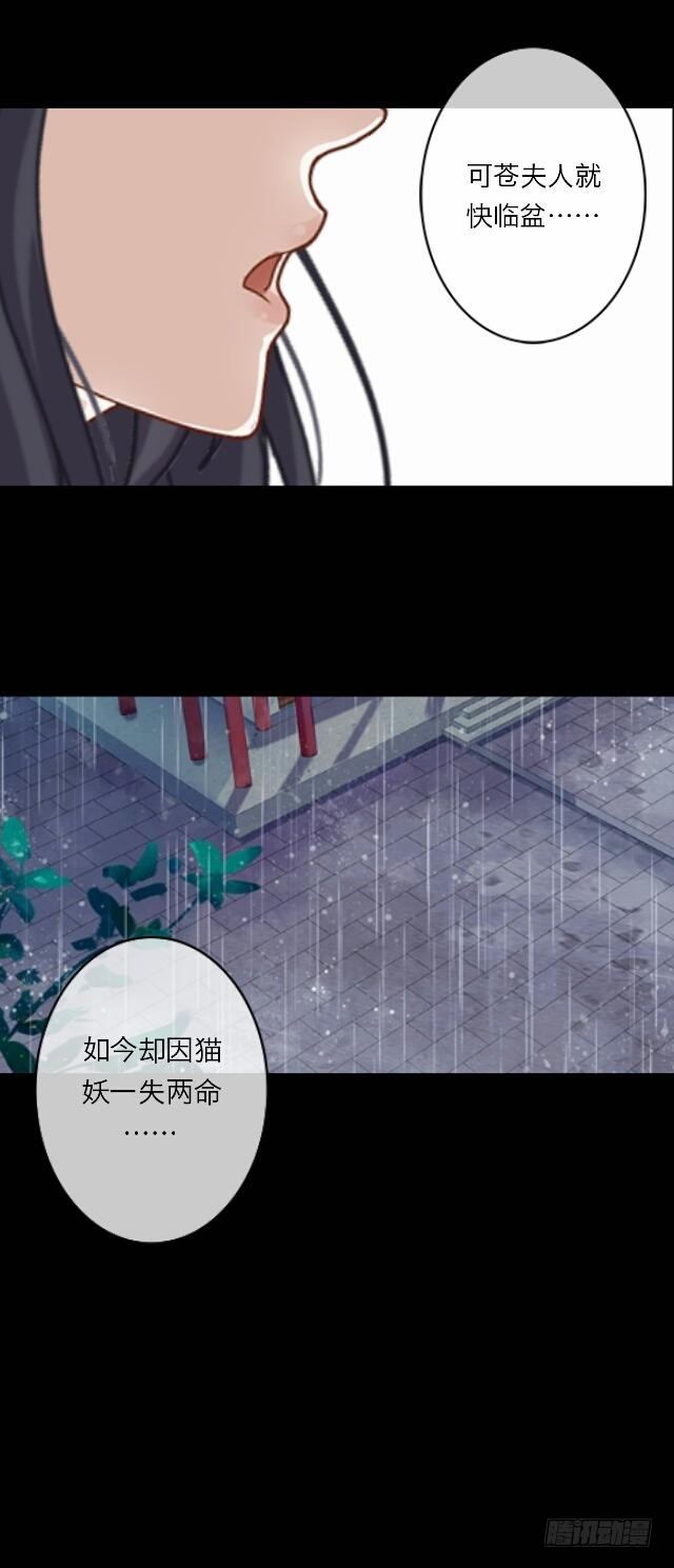 《逢时茶花落》第二十五话 报仇 第13页