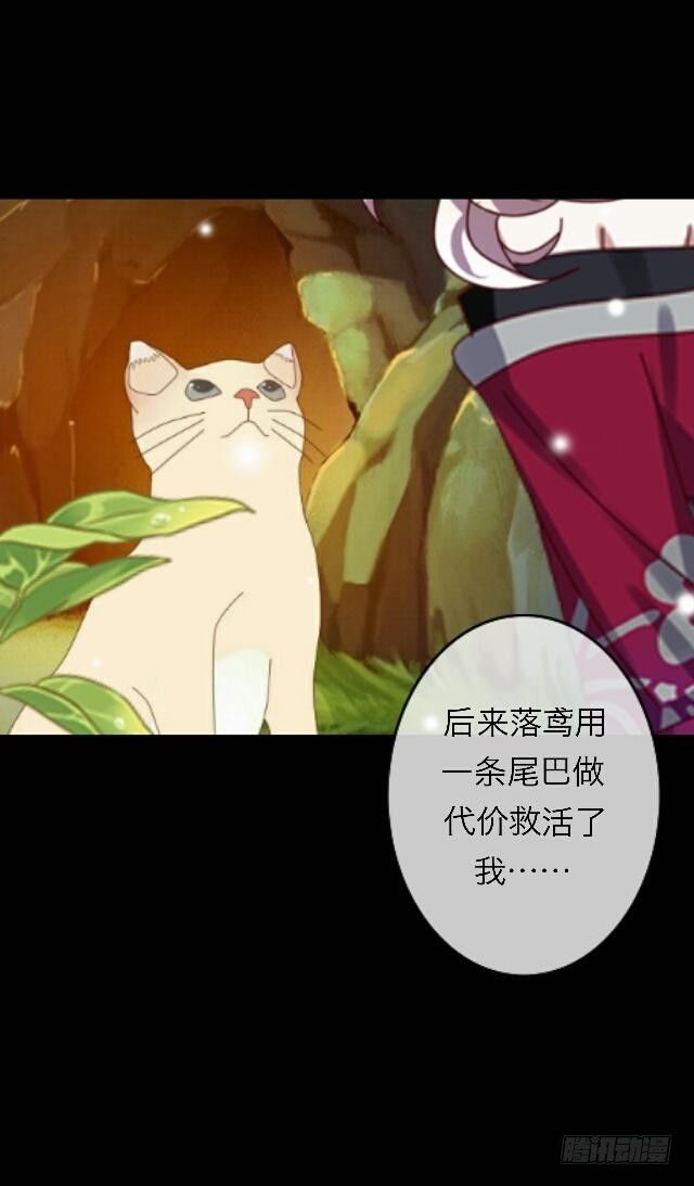 《逢时茶花落》第三十话 杀人 第25页