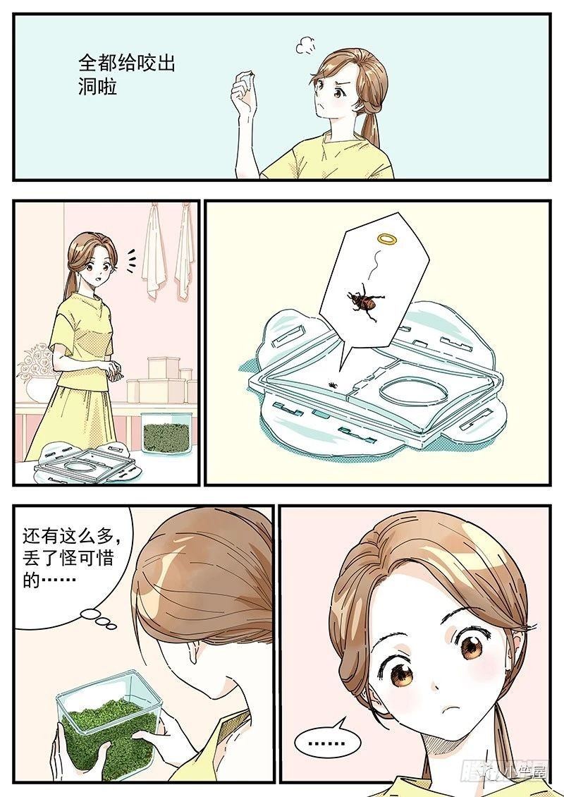 《无言录》绿豆虫 第3页