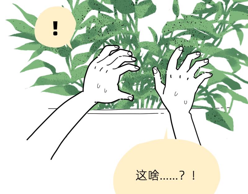 《无言录》失业日常（6）空心菜 第11页