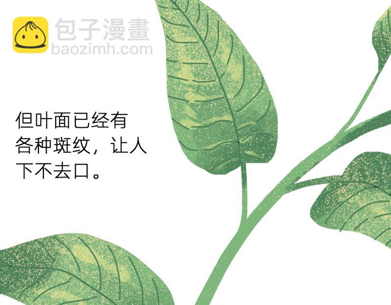 《无言录》失业日常（6）空心菜 第15页