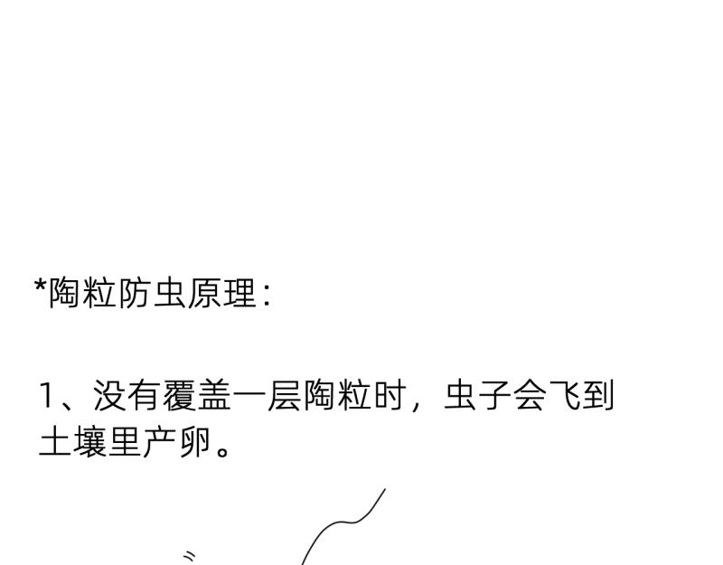 《无言录》失业日常（6）空心菜 第34页