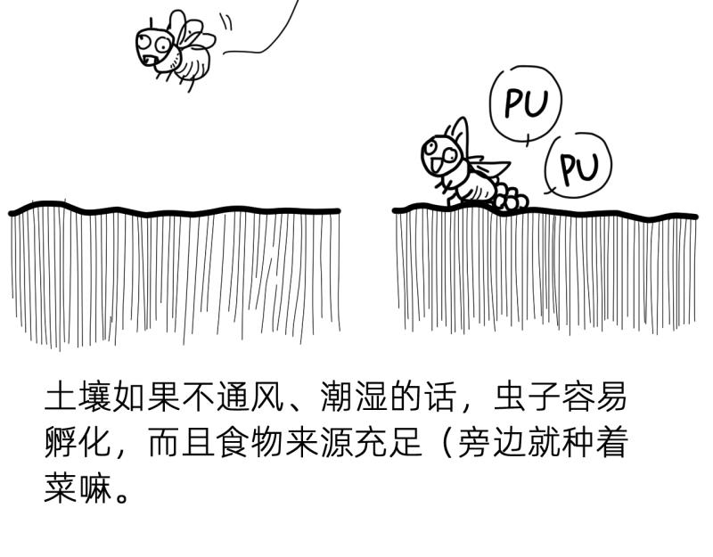 《无言录》失业日常（6）空心菜 第35页