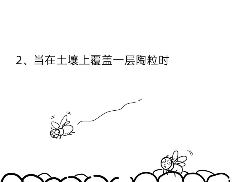 《无言录》失业日常（6）空心菜 第37页