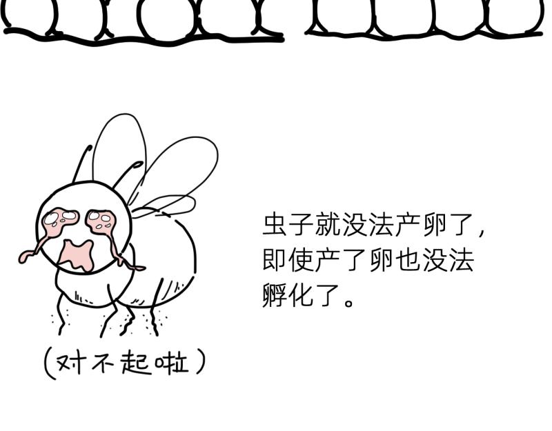 《无言录》失业日常（6）空心菜 第38页