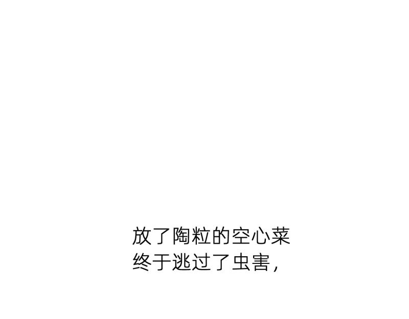 《无言录》失业日常（6）空心菜 第46页
