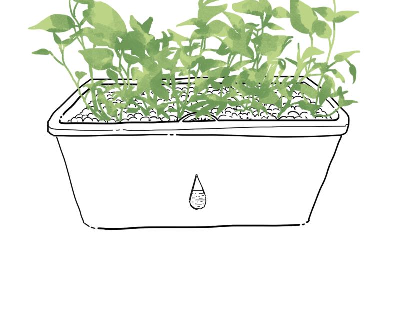 《无言录》失业日常（6）空心菜 第4页