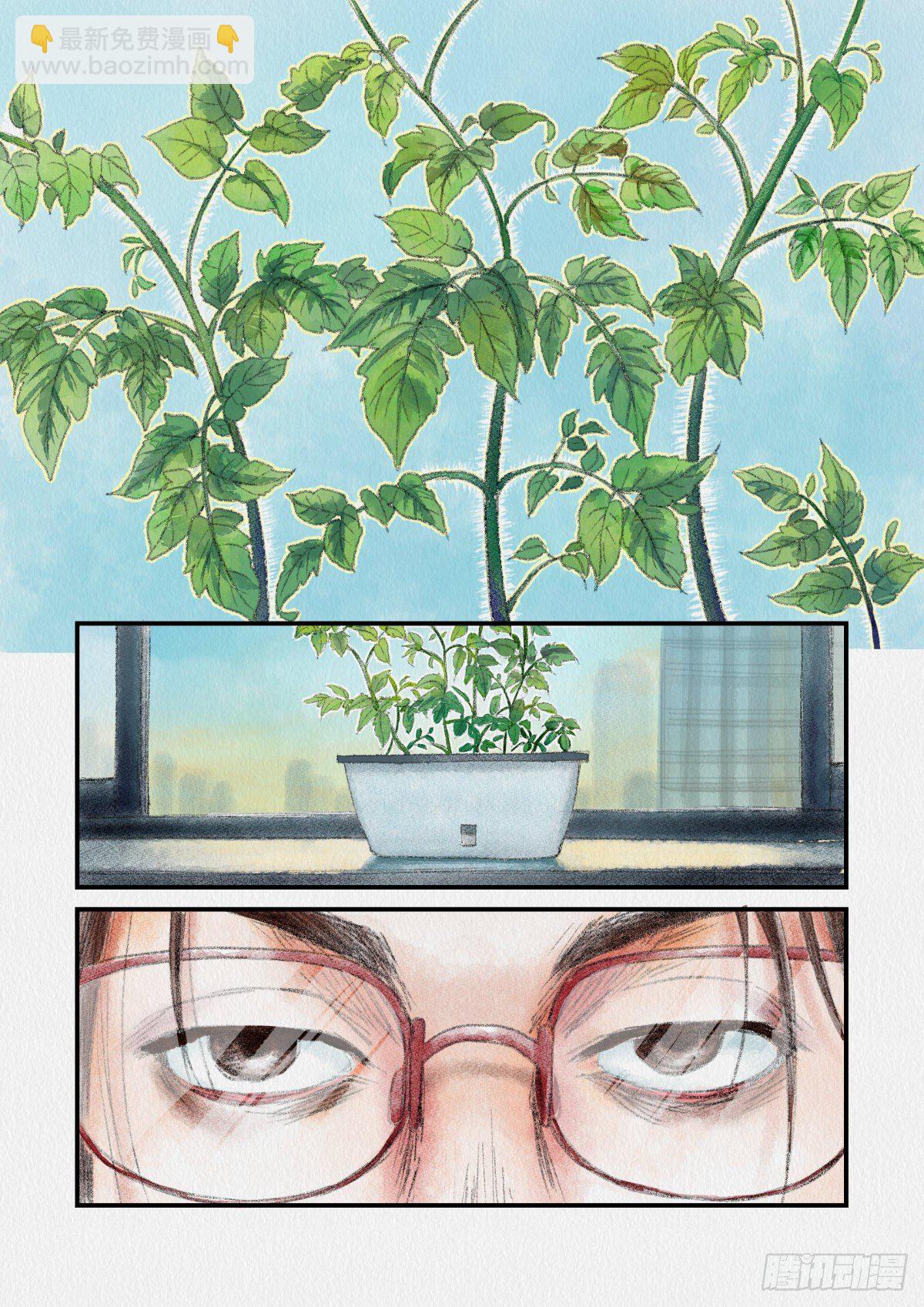 《无言录》失业日常（1）樱桃番茄 第2页