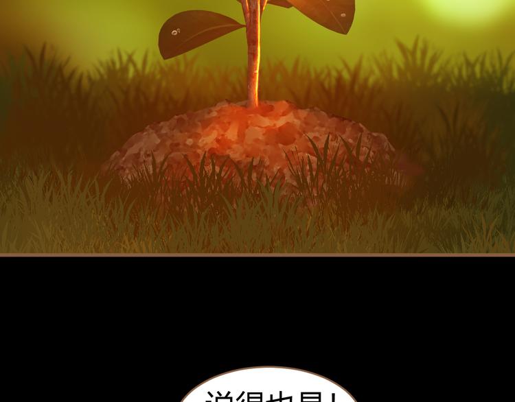 《逆世救赎》番外小树苗 第34页
