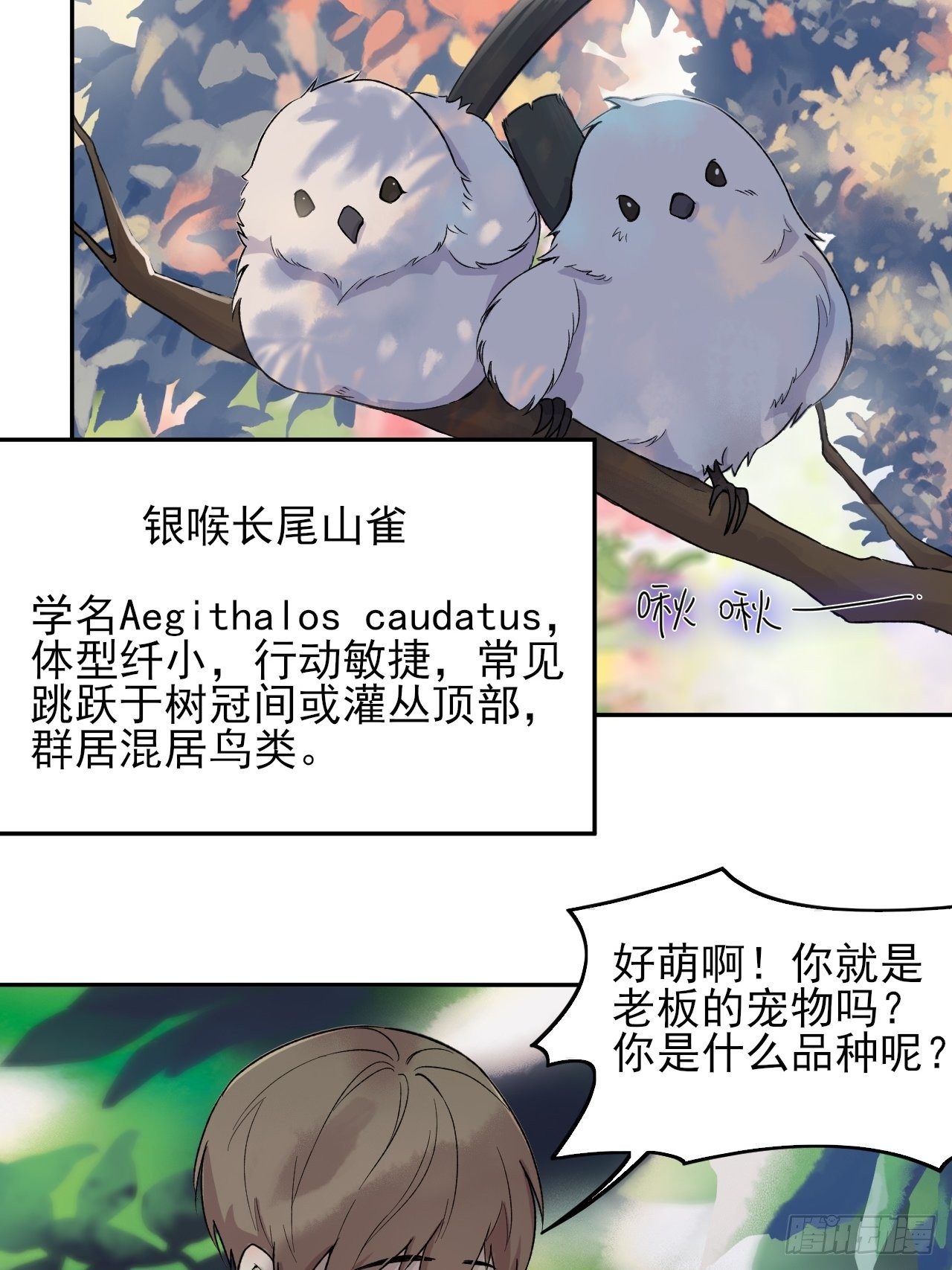 《麻雀系男友观察日记》006 第18页