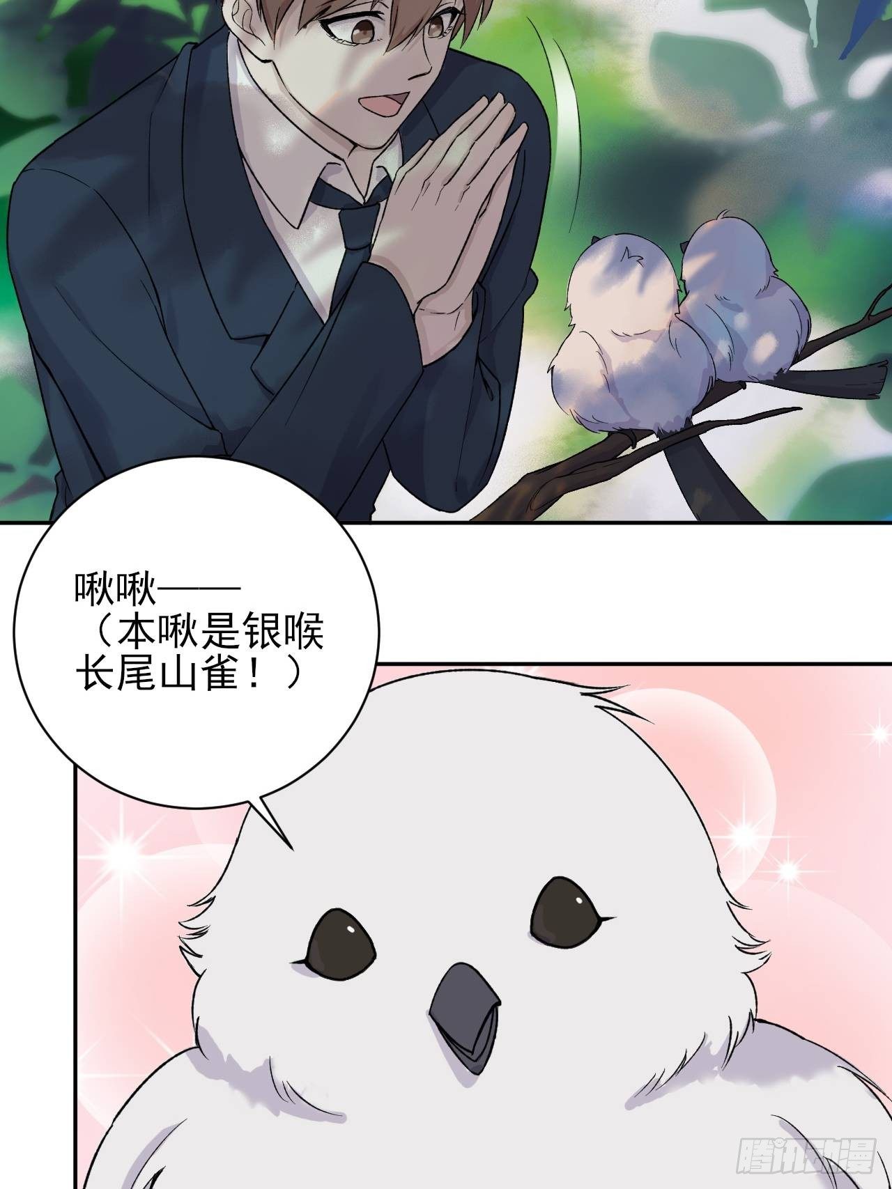 《麻雀系男友观察日记》006 第19页