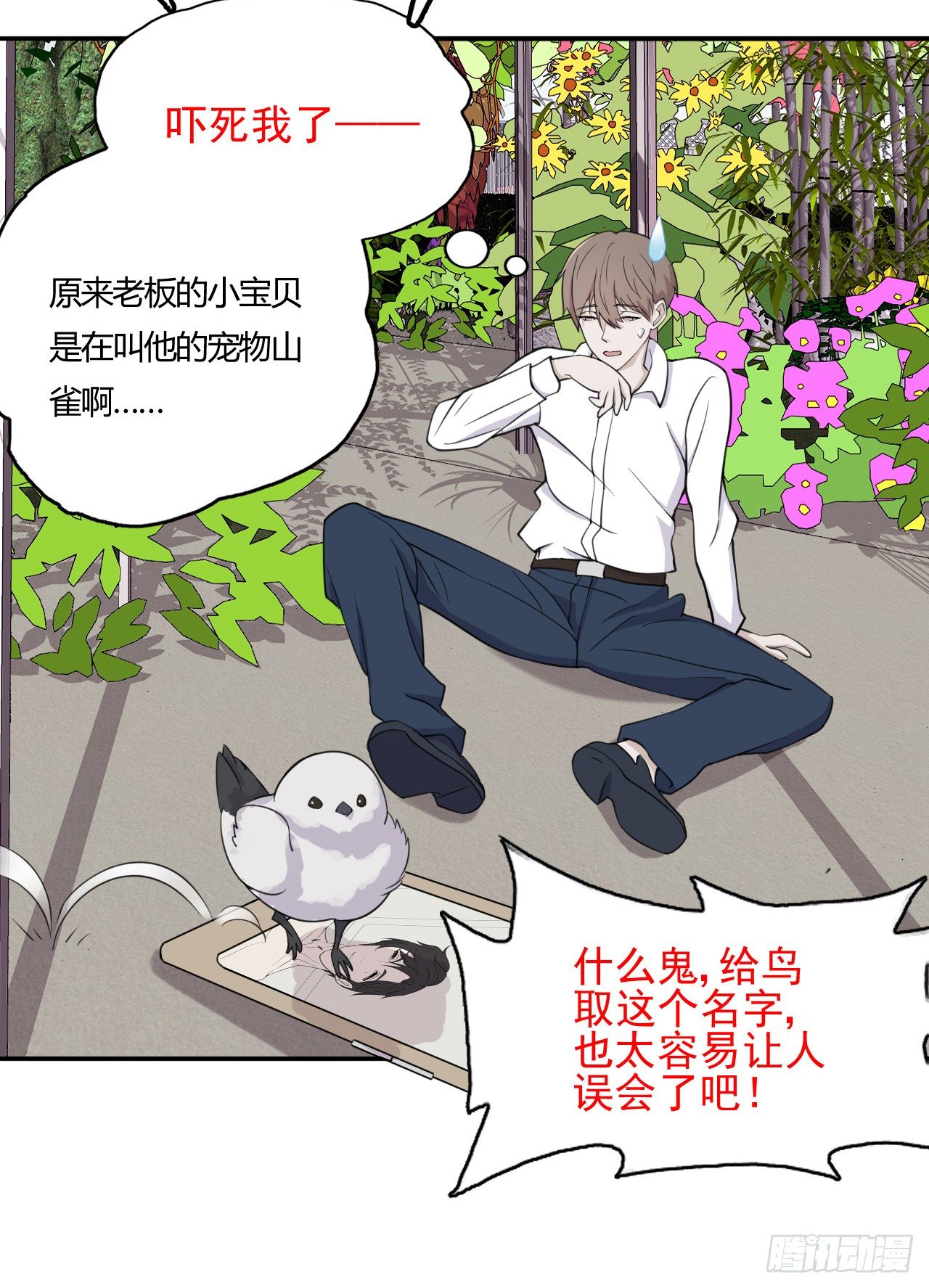 《麻雀系男友观察日记》008 第5页