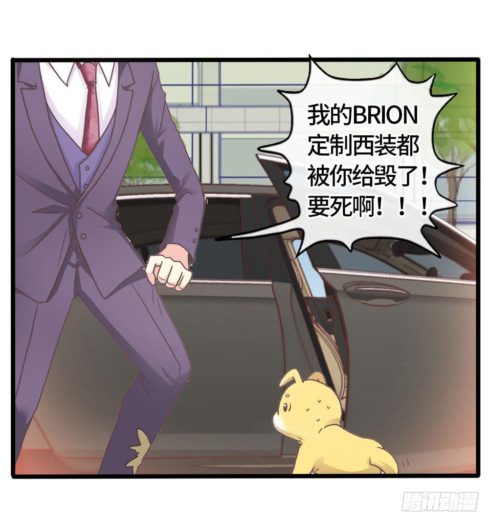 《上神，拜托了》19、我受到了惊吓 第2页