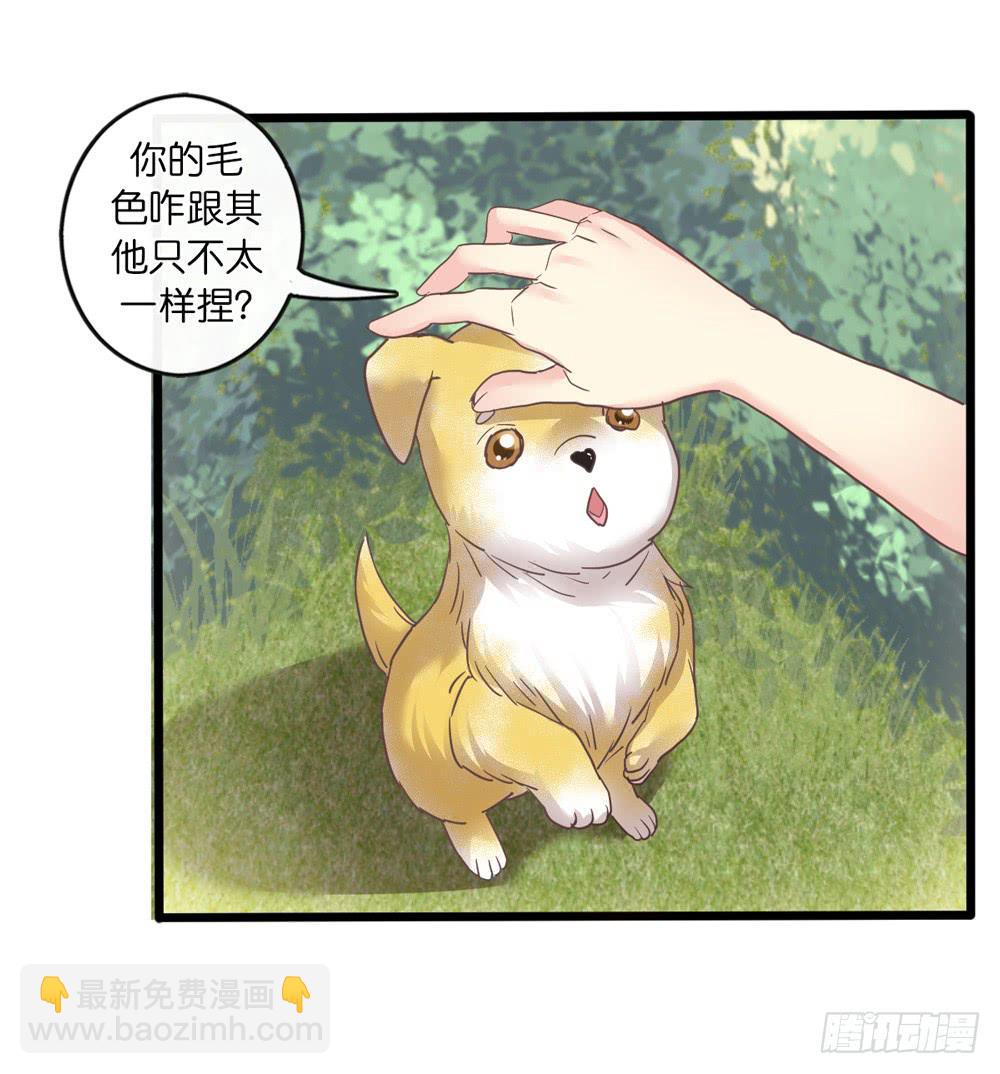 《上神，拜托了》18、转角遇见谁 第11页