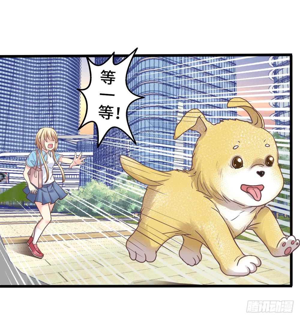 《上神，拜托了》18、转角遇见谁 第20页