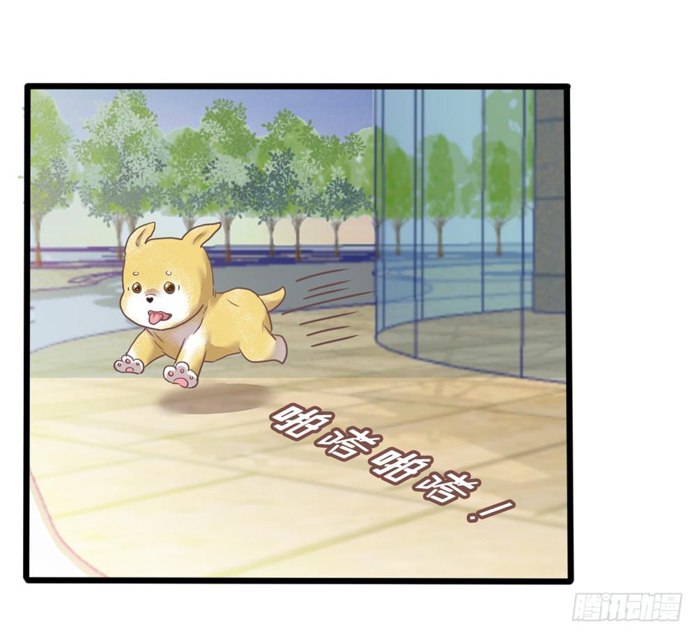 《上神，拜托了》18、转角遇见谁 第22页