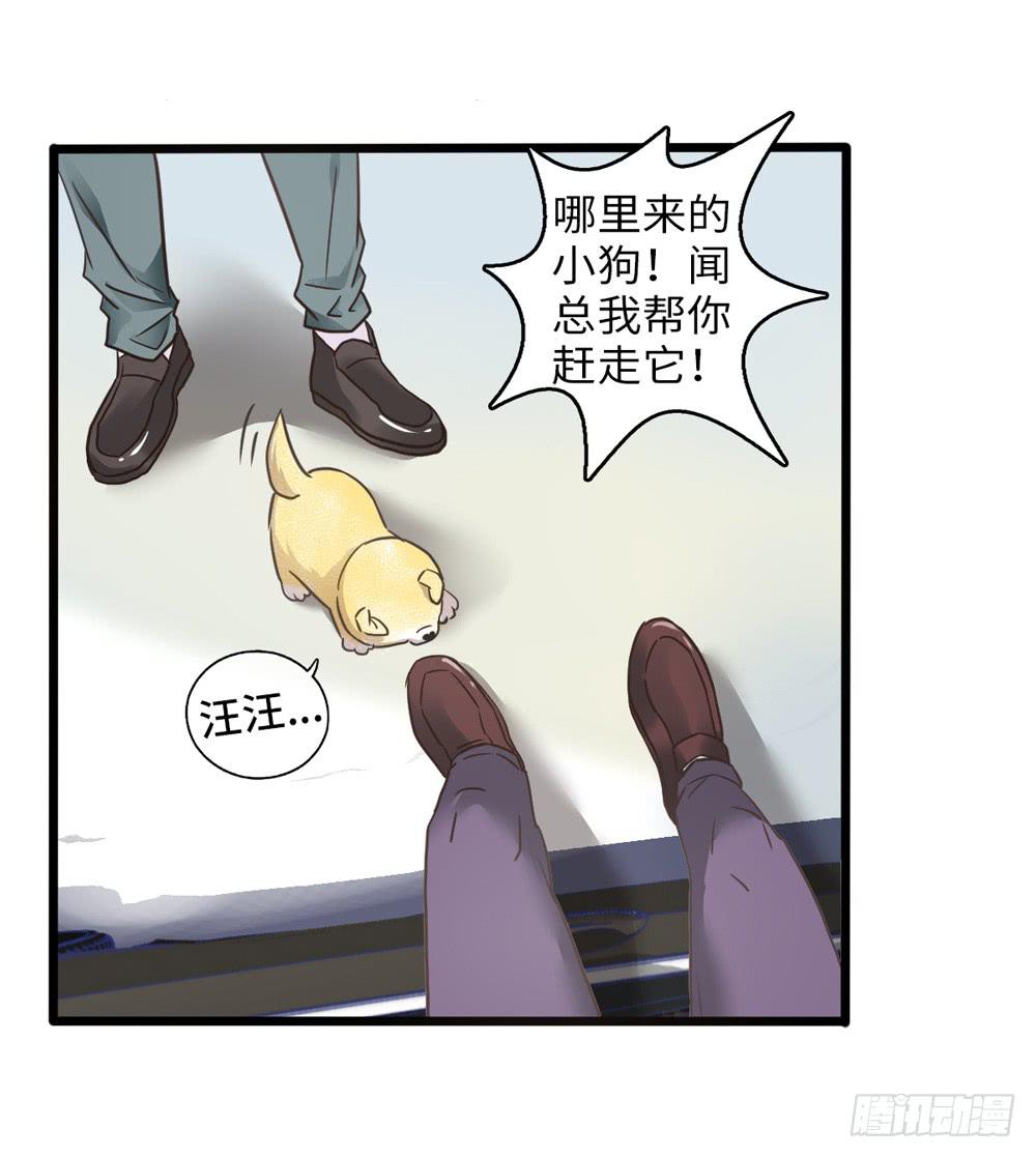 《上神，拜托了》18、转角遇见谁 第26页