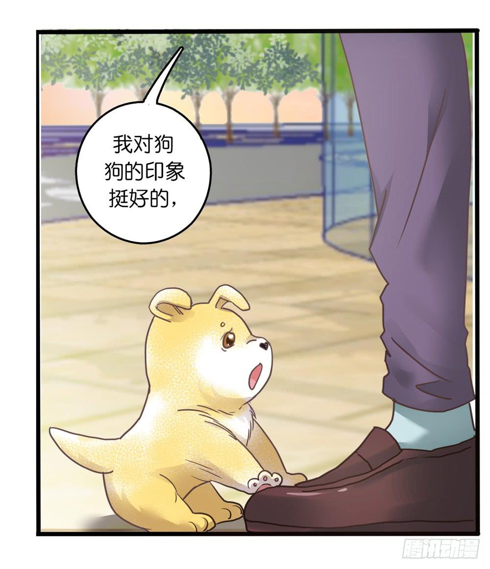 《上神，拜托了》18、转角遇见谁 第28页