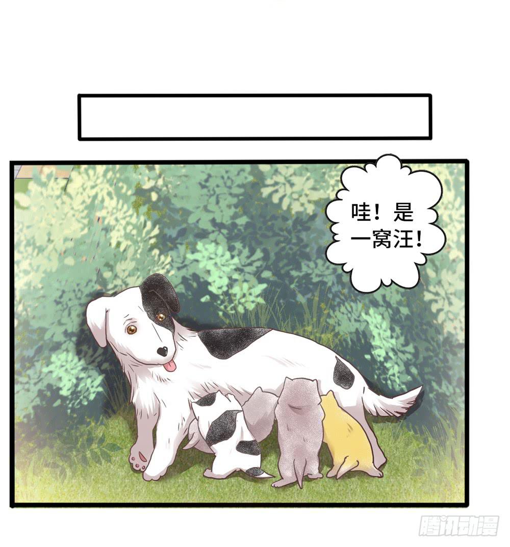 《上神，拜托了》18、转角遇见谁 第8页