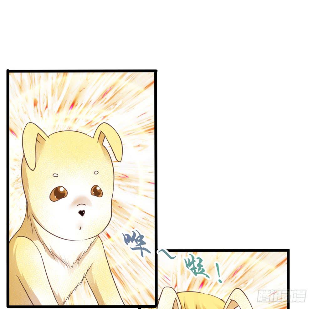 《上神，拜托了》31、师尊重生 第29页