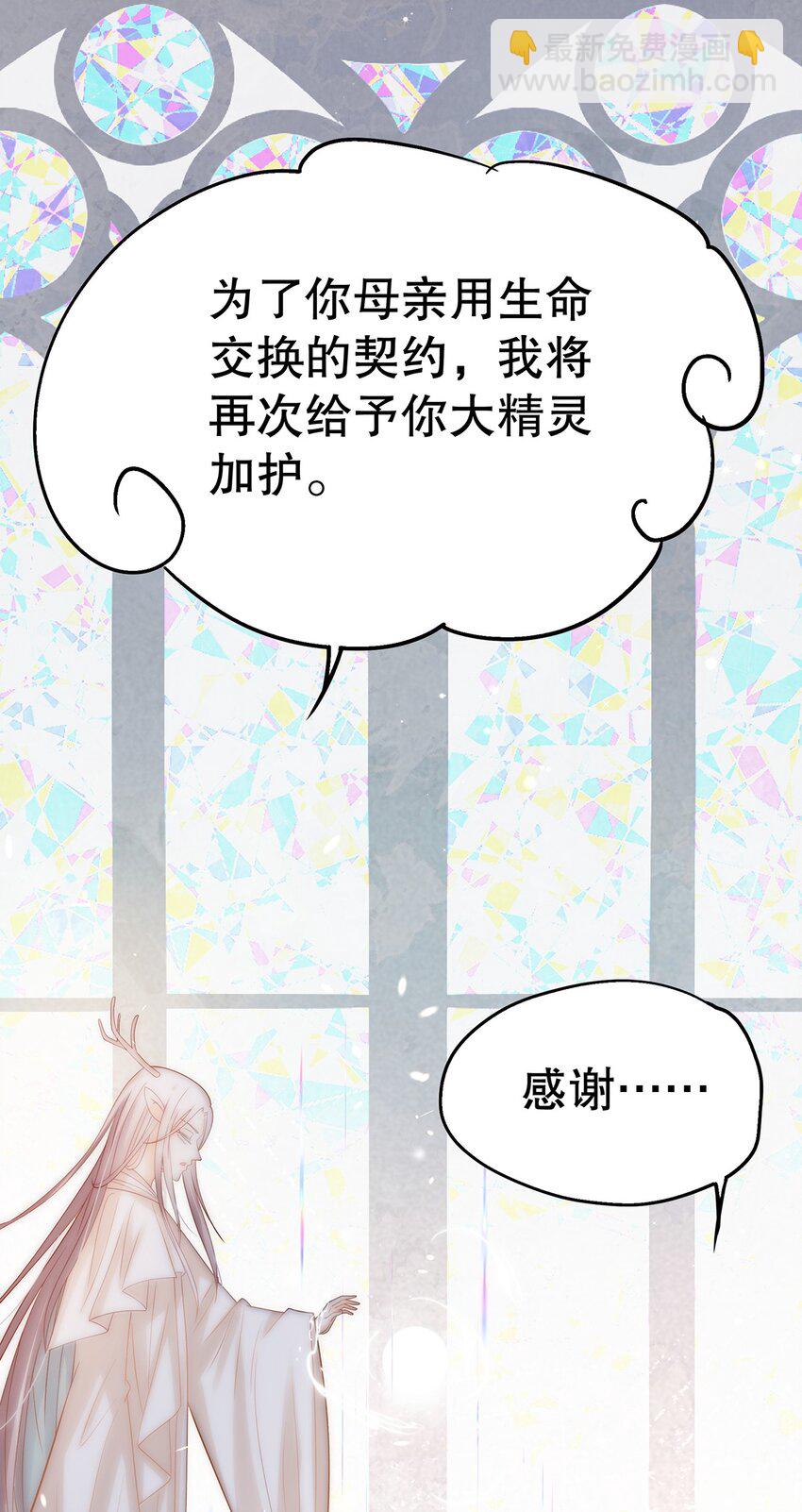 《炮灰女配被迫营业》018 大精灵与前代圣女 第27页