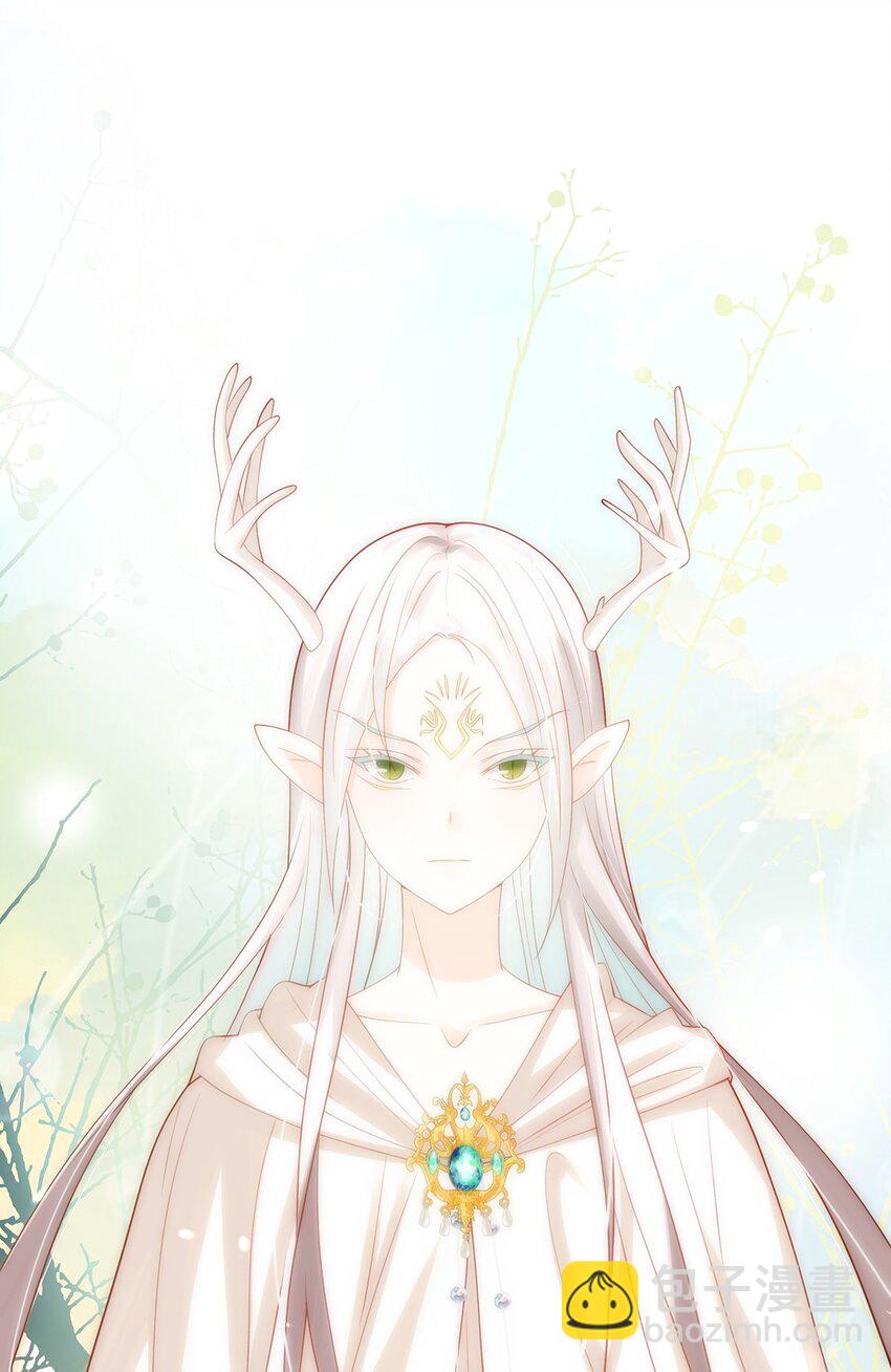《炮灰女配被迫营业》018 大精灵与前代圣女 第2页